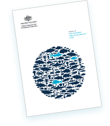 Report Cover